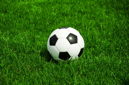 雷速体育官方二维码