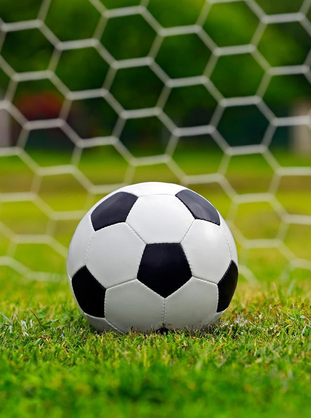 专业球迷深度分析场景